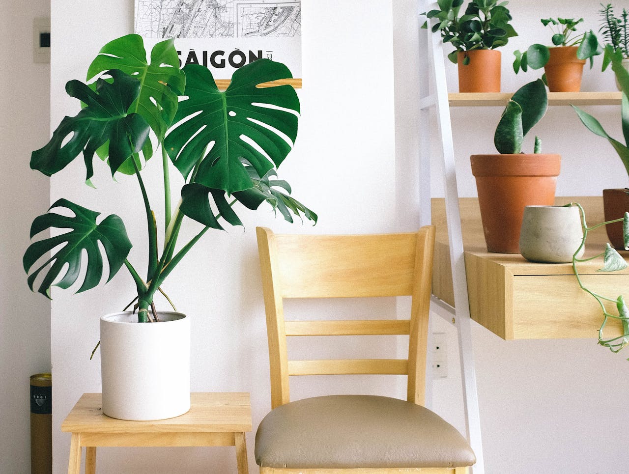 Kunstplanten horeca